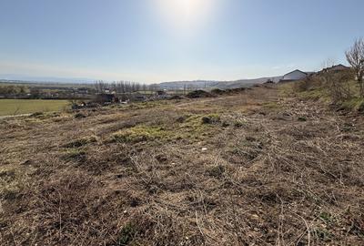 TEREN INTRAVILAN PANORAMIC DE VANZARE 5600 MP, CETATE, ALBA IULIA - 6