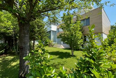 Luxury villa, Cambridge School, Iancu Nicolae area - 19