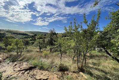 Teren Construcții intravilan de 1575 mp, în Exterior Sud