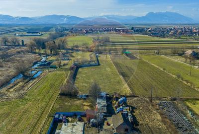 Teren Intravilan 5.000 mp Prejmer -  Strada Preot Ioan Popescu - 6