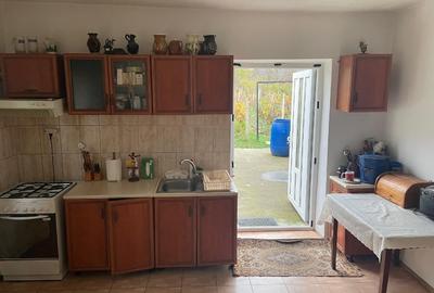 Casa 216mp cu vie si livada, 2500 mp teren – Horodistea, comuna Cotnari, Iasi - 11
