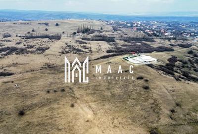Teren 6,75 ha | Panoramă și Acces Excelent | Dealul Daii - 7