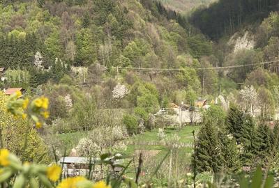 Teren vedere panoramică lac Paltinu si dealuri împădurite in Valea Doftanei - 5