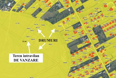 Lot de casa in Lilieci - de vanzare - 3