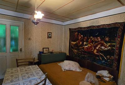 Casa de vacanta la vanzare   Beciu -Odobesti - 10