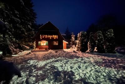 Casă de vacanță tip Chalet pe Valea Muresului - 3