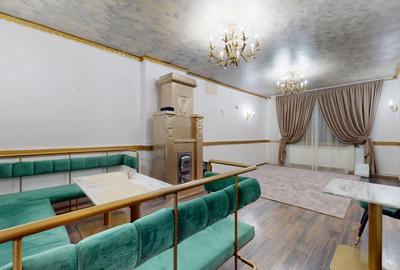 Spatiu comercial cu teren Arcul de Triumf - 12