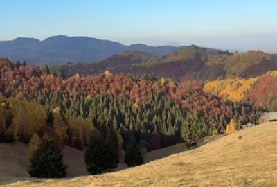 Teren la munte pentru cabanuta intre Breaza si Sinaia - 4