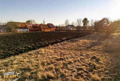 FILM! 4.554 mp intravilan, PUZ: locuinta,afacere,productie,satul Marcusa, deschi - 6