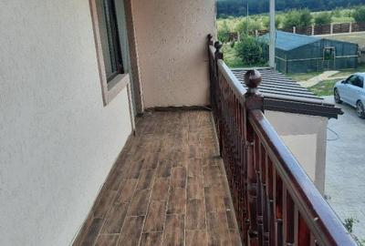 FARA COMISION casa 4 camere 2 bucatarii 2 puturi beci livada 1500mp SAU 3300mp - 34