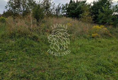 Teren Construcții intravilan de 1000 mp, în Sud