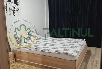 Apartament 2 camere decomandate de vânzare – Turnișor, zona Alba Iulia-Profi - 7