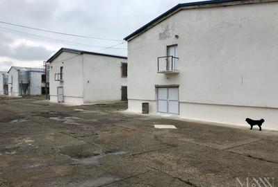 Hala | Spatiu depozitare, productie de inchiriat | Les, Bihor - 6