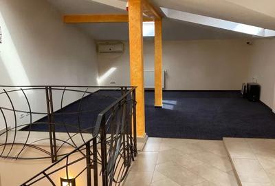 Vila Cotroceni | Curte | Centrala proprie | 7 minute metrou | Pet Friendly - 4