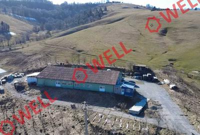 Hală industrială de vânzare în Sita Buzăului! - 6