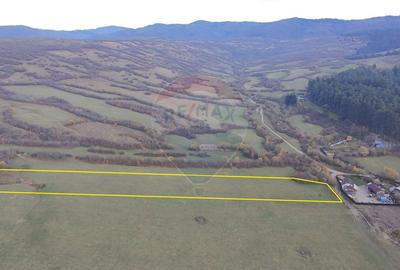 Teren 5.800 mp Purcareni curent, gaz, apa / Strada 30 decembrie - 1