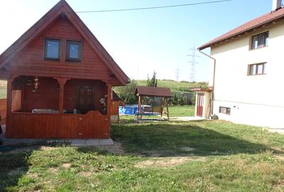 Vand casa noua in Deva, D+P+M, zona Zavoi, suprafata totala de teren 942 mp, - 2