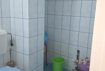 Colentina Rau, Radovanu, semistradal, centrala termica proprie - 3