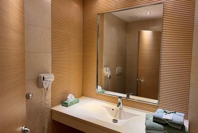 APARTAMENT 2 CAMERE - MOBILAT SI UTILAT COMPLET(NOU) STRADAL - 10