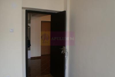 Apartament 3 camere pe bd Decebal - 9