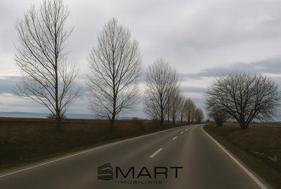 Teren intravilan 10.000mp la drum Calea Surii Mici - 1