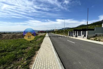 Teren Construcții intravilan de 3884 mp, în Mărăței