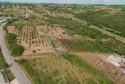 Teren intravilan 1,163mp de vânzare în Săldabagiu De Munte - 2