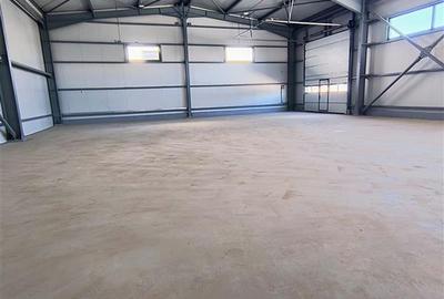 Inchiriere depozit/hala/spatiu industrial Domnesti - Centura - 5
