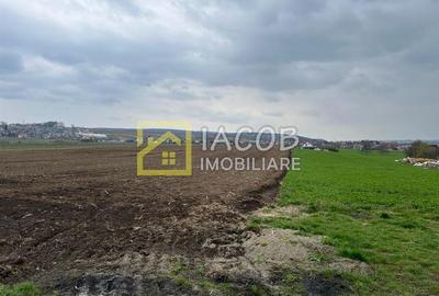 Teren intravilan cu suprafata de 1907 mp, varianta Margineni Hemeiuș, Bacau - 4