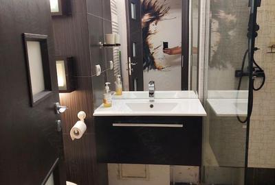 De Inchiriat Apartament Modern, 2 camere,  Calea Calarasilor - 4