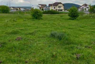 Teren extravilan Selimbăr - 1
