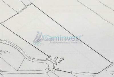 Teren de vanzare in Suncuius, 4,7 ha intravilan pentru agrement, Bihor - 3