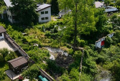 Vila spectaculoasa lacul Snagov – 4.000 mp de intimitate/potential exclusivist - 3
