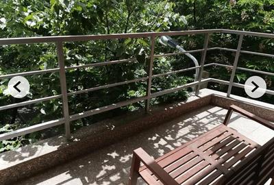 Inchiere apartament/birou  Herestrau - 9