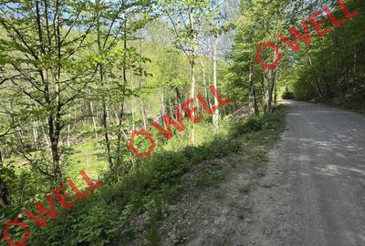 De vânzare teren extravilan în  Kuvaszó! - 3