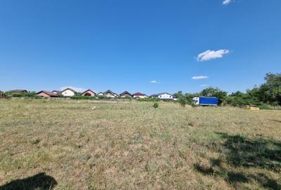 Teren de vanzare in Loc Domnesti - Tudor Vladimirescu - 4