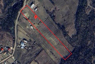 Teren Tomesti 3750MP - 1