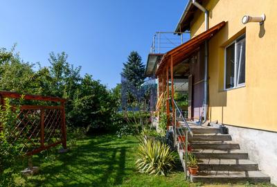 Casa cu salcie - vilă pe 1.804 mp, front la două străzi, Feleacu - 39