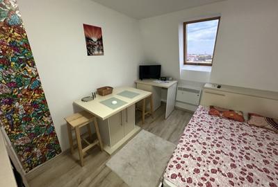 Apartament 1 camera la Mansarda - 8