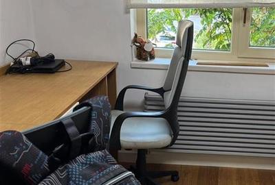 3 camere, etaj 1, Renovat Integral, Mobilat si Utilat - Buzaului - 22