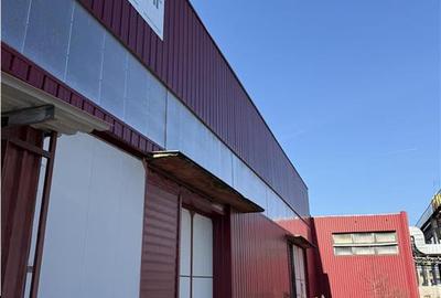 Spatiu Industrial - 4000 mp - Productie - Depozitare - Distributie - Sibiu - 16