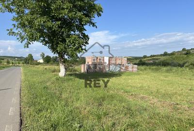 Teren HALA de vanzare iesirea din Sura Mare spre Hamba. - 1