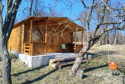Teten intravilant cu căbănuță - 3