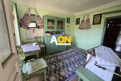 Casa de Vacanta 2 Camere, Strada Morilor Zlatna - 4