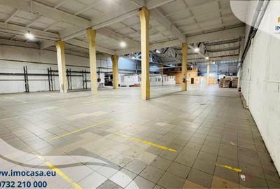Hală de închiriat divizată, dotată Aradul nou 500-4000 mp - 4