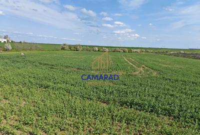 Teren intravilan 11.225 mp | Popești-Leordeni | Sos. de Centura - 3