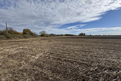 Vand Teren Extravilan Biled(zona industriala) 25.000mp,F.S la DN6 - 5