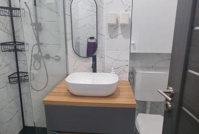 Apartament 2 camere Sector 4 - Straja - 22