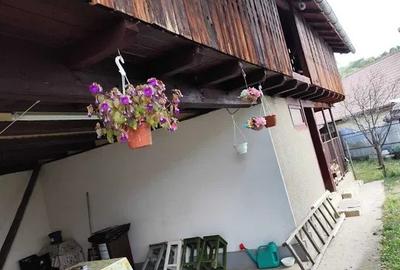 Proprietate cu potențial generos în Lunca Mare - Prahova - 6