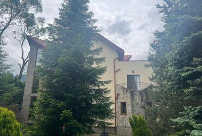 Vila de vis cu parc privat  — Panoramă Unică Spre Crucea Caraiman, - 3